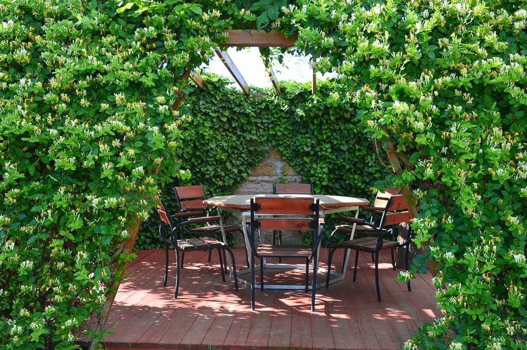 Гостиница Дионис Балаклава-104