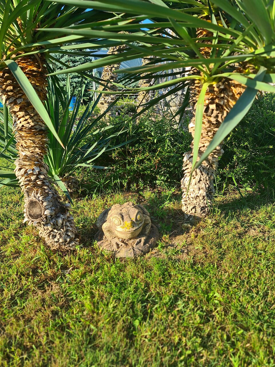 Гостиница Дионис Балаклава-32